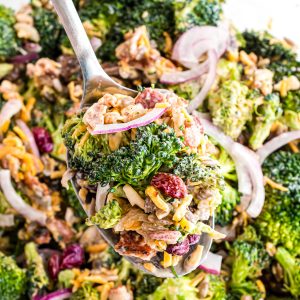 A spoonful of broccoli salad with craisins over a serving bowl of salad.