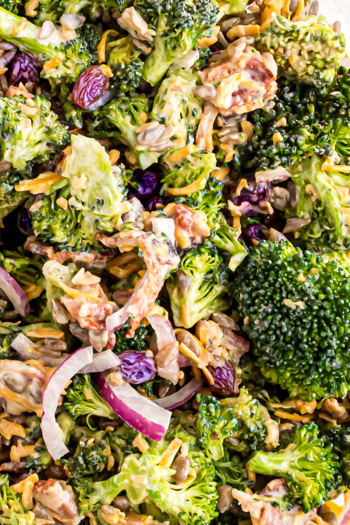 A very, up-close photo of the broccoli salad showing the texture of the broccoli florets, the crumbled bacon, cheese, onions, and Craisins, all coated with creamy salad dressing.