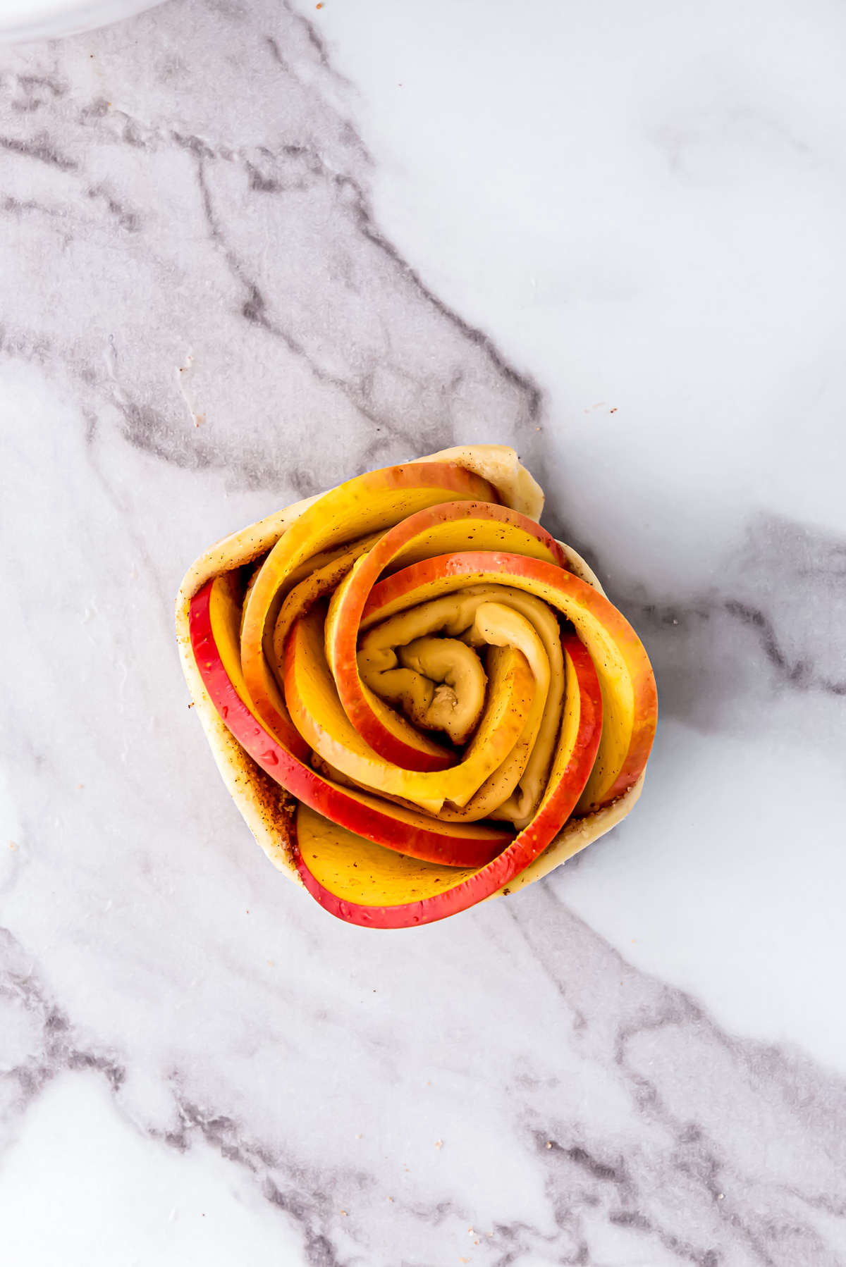 An apple rose formed and ready to be placed in a muffin tin.