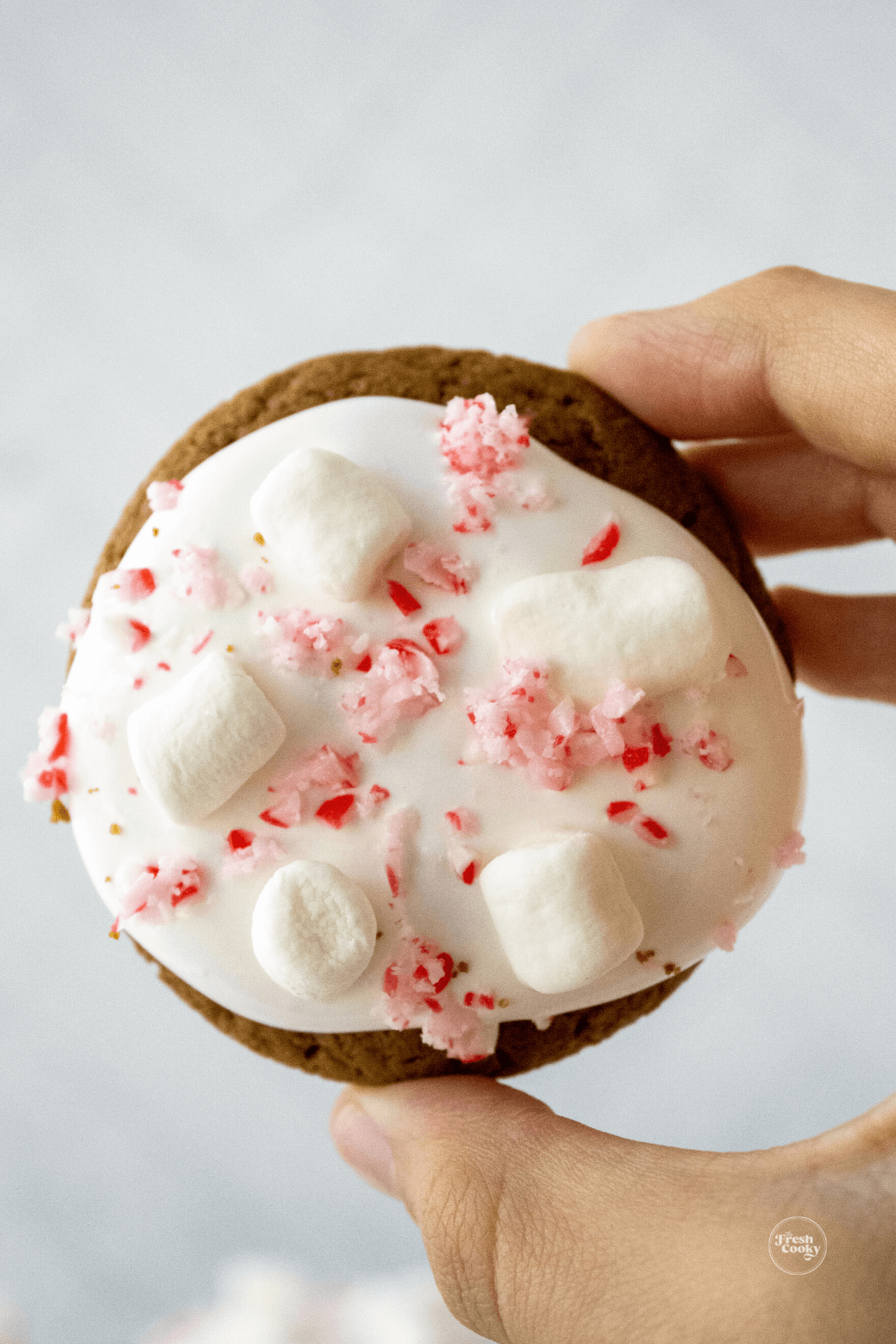 A hot chocolate cookie topped with mini marshmallows and crushed peppermint candy.