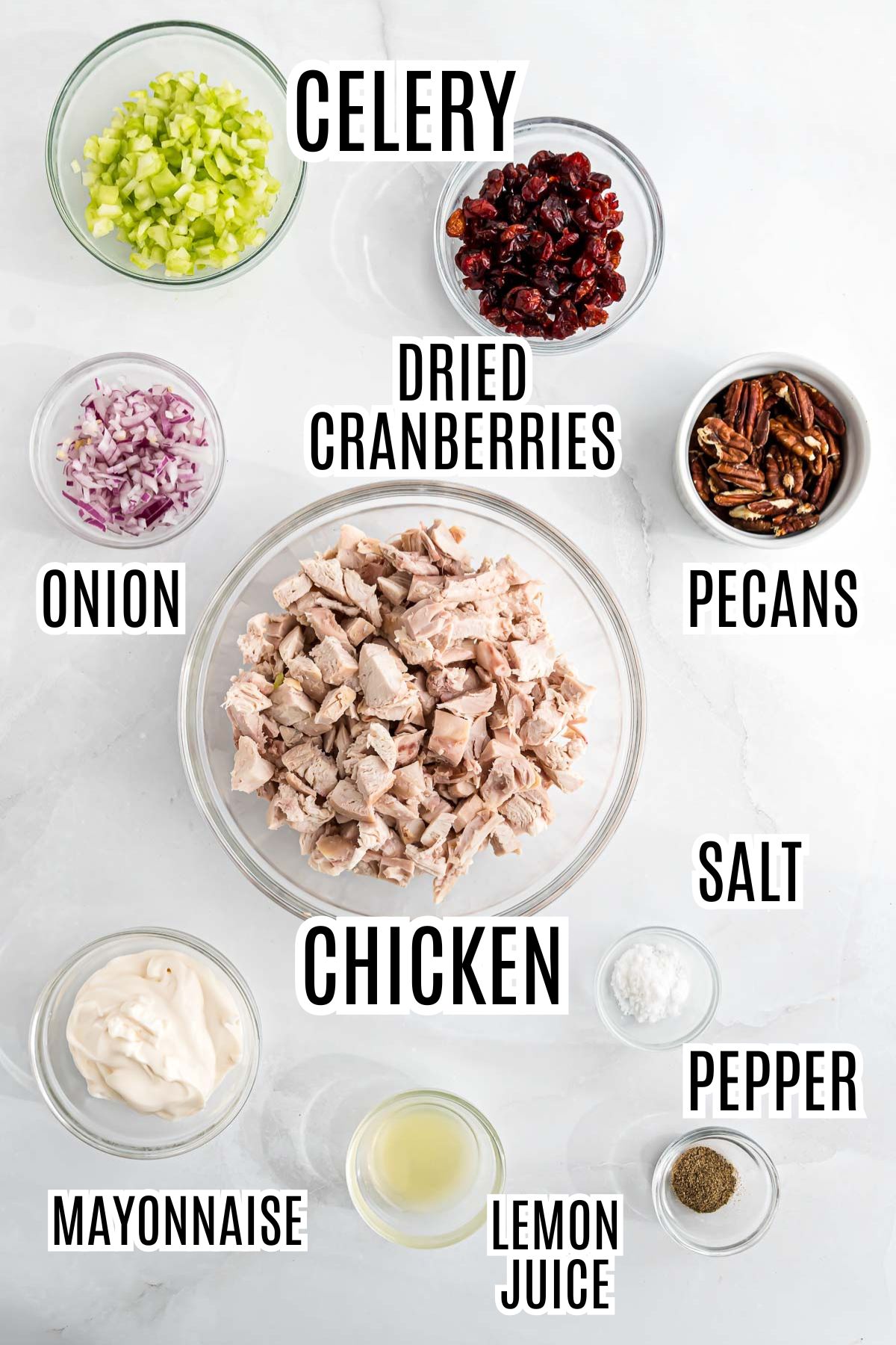 The ingredients needed to make the Cranberry Chicken Pecan Salad include celery, dried cranberries, onion, pecans, rotisserie chicken, salt, pepper, mayonnaise, and lemon juice.