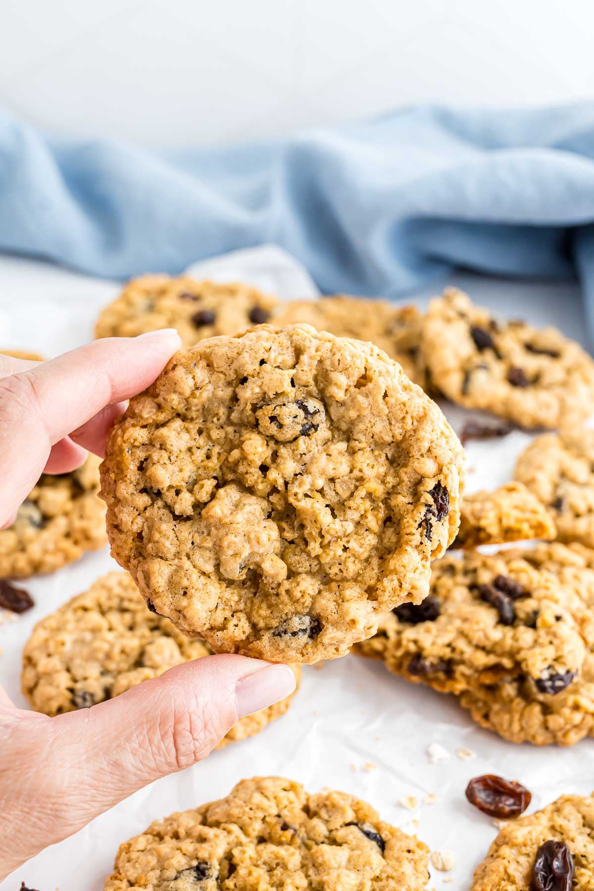 A oatmeal raisin cookie being held to show the texture and raisins in the cookie.