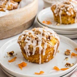 A morning glory muffin sitting on a small serving plate.