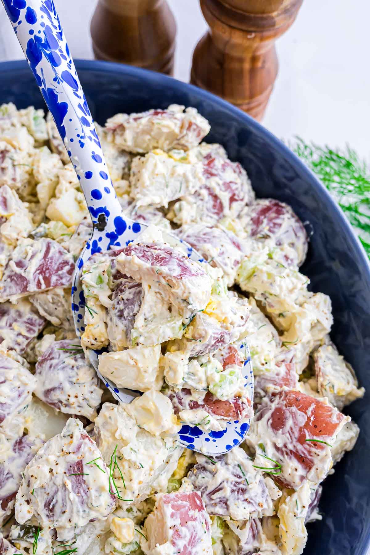 Red Potato Salad with a creamy dressing featuring hard boiled eggs, dill pickle, celery, onion, and fresh dill, in a large serving bowl.