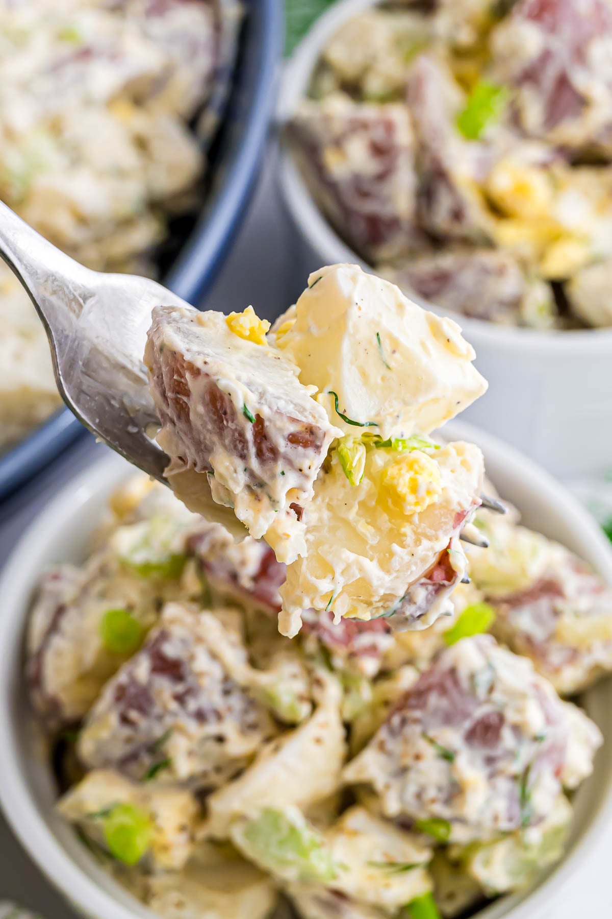 A bite of the red potato salad on a fork showing the creamy dressing coating the potatoes, the red skins of the potato contrasting with the hard-boiled egg, and the sliced green onion and fresh dill.